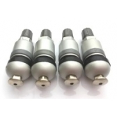 ������� TPMS ��������� ��� BMW ������